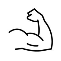 Schets van een gespierde arm