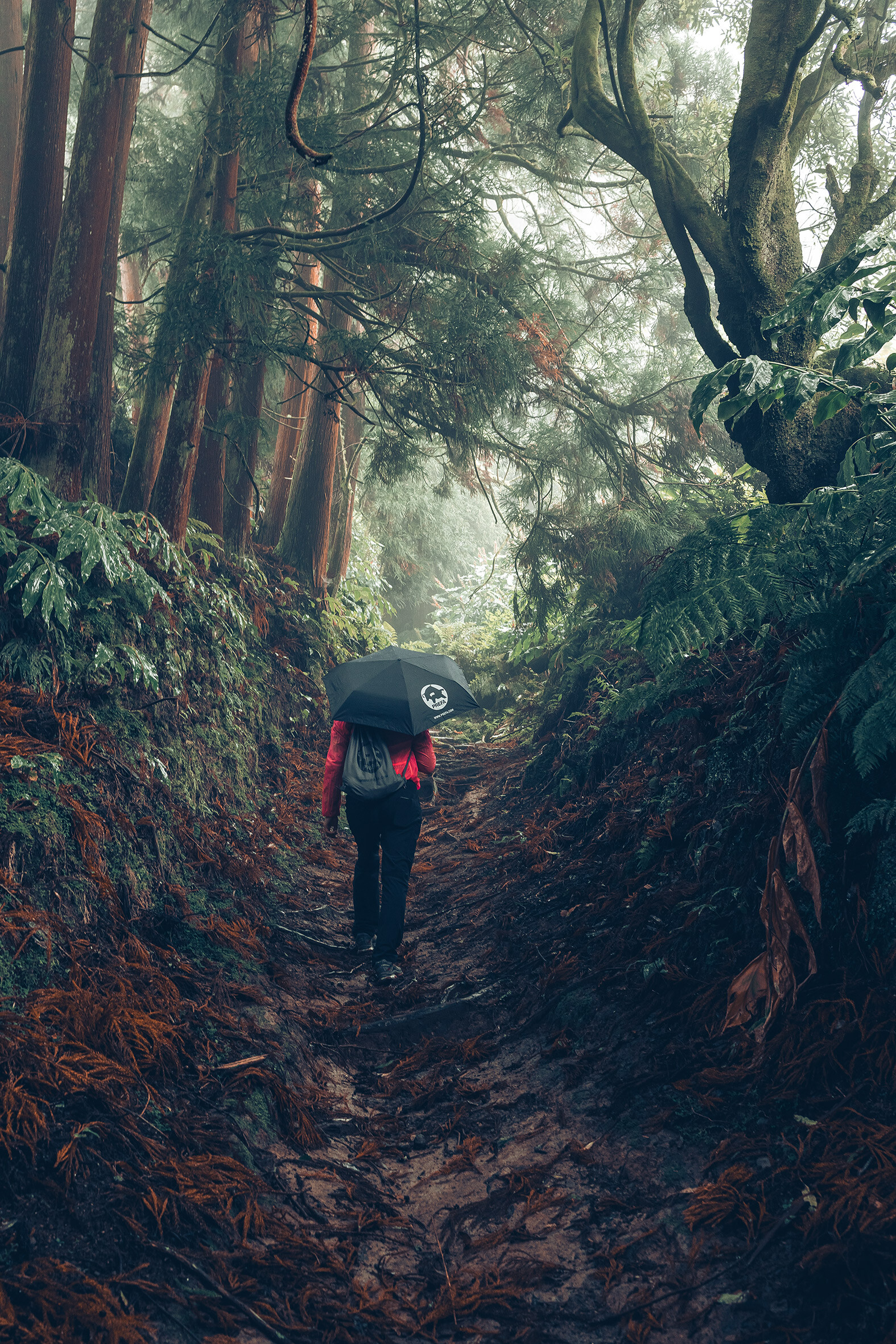 Afbeelding in het bos met wandelaar in rode jas met PREFA paraplu en sporttas, symboliseert zowel PREFA milieubescherming en duurzaamheid als circulaire economie en recycling