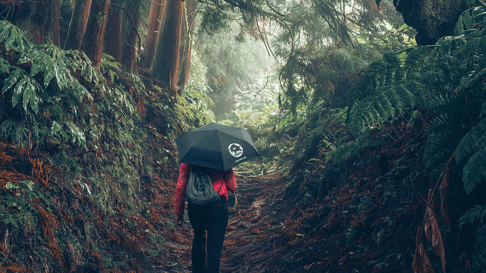 Afbeelding in het bos met wandelaar in rode jas met PREFA paraplu en sporttas, symboliseert zowel PREFA milieubescherming en duurzaamheid als circulaire economie en recycling